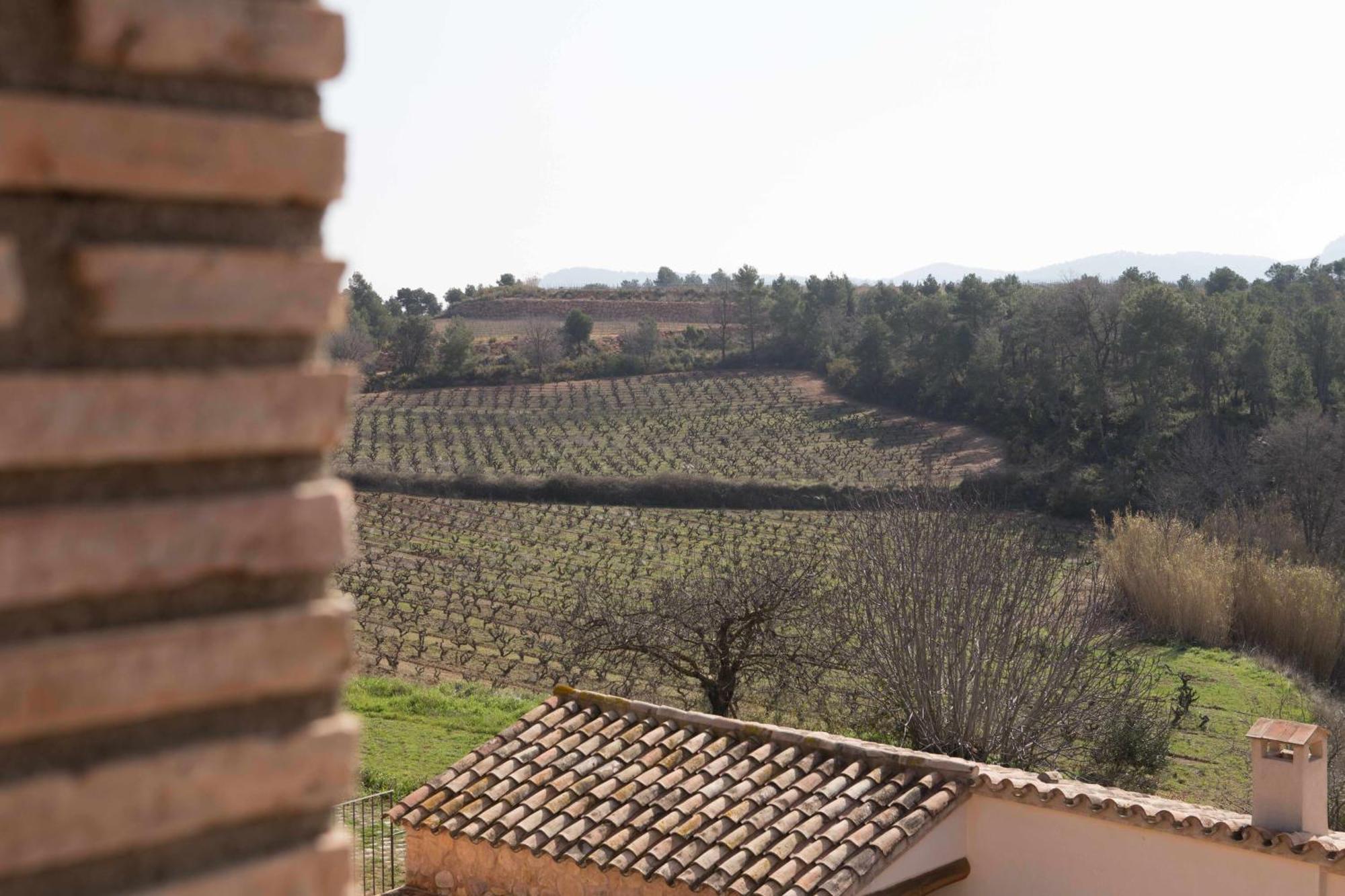 Casa Rural Masia Les Apieres El Pla de Manlleu ภายนอก รูปภาพ